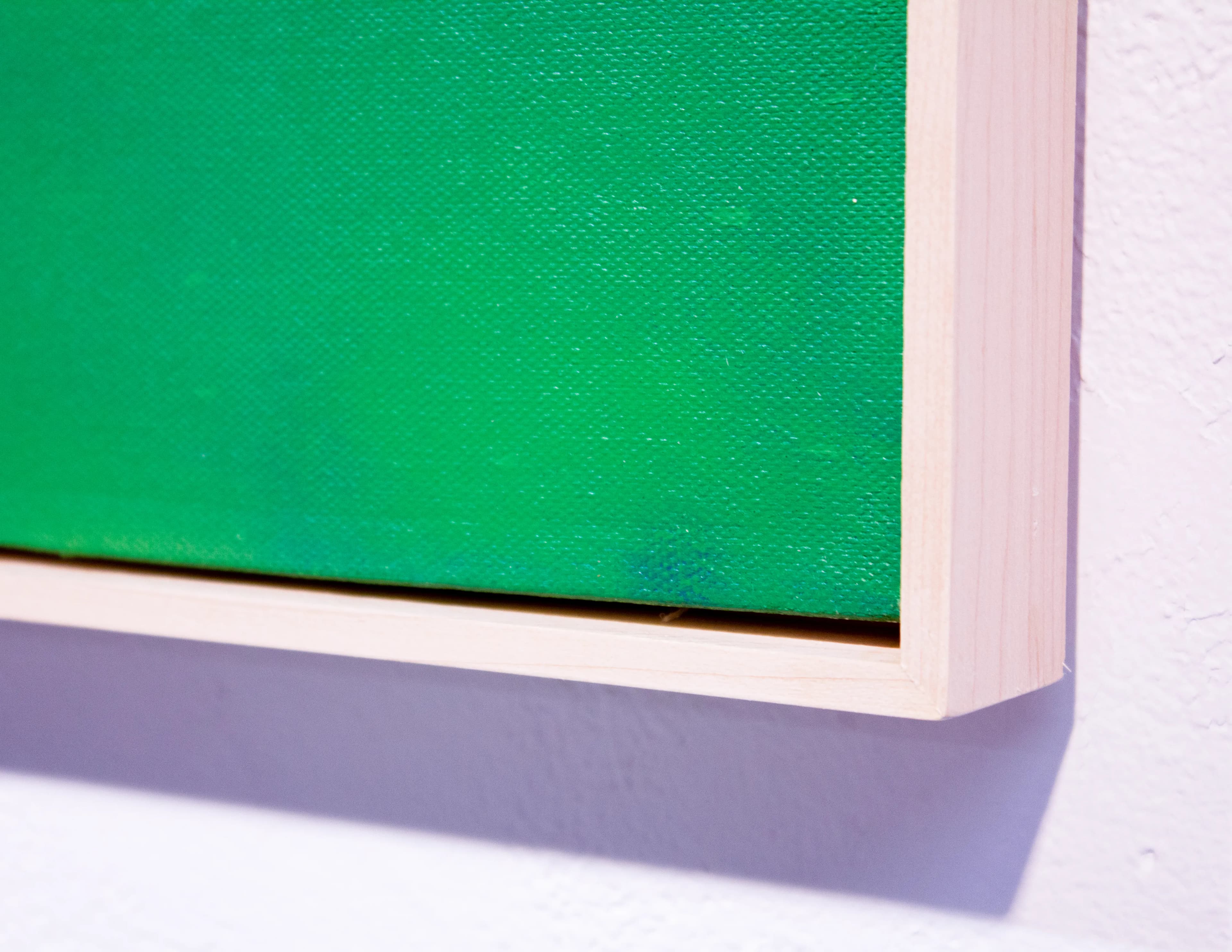 pajaro campana - Image 4