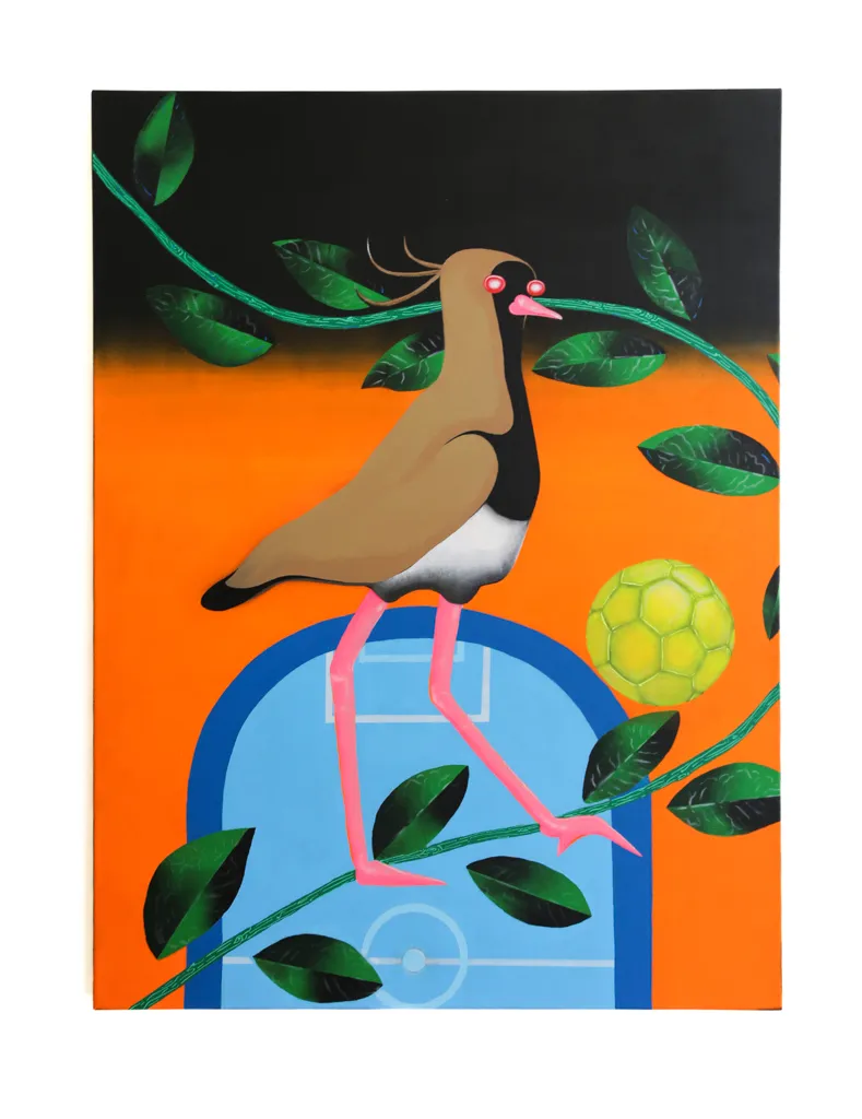 tero tero en la cancha cover image