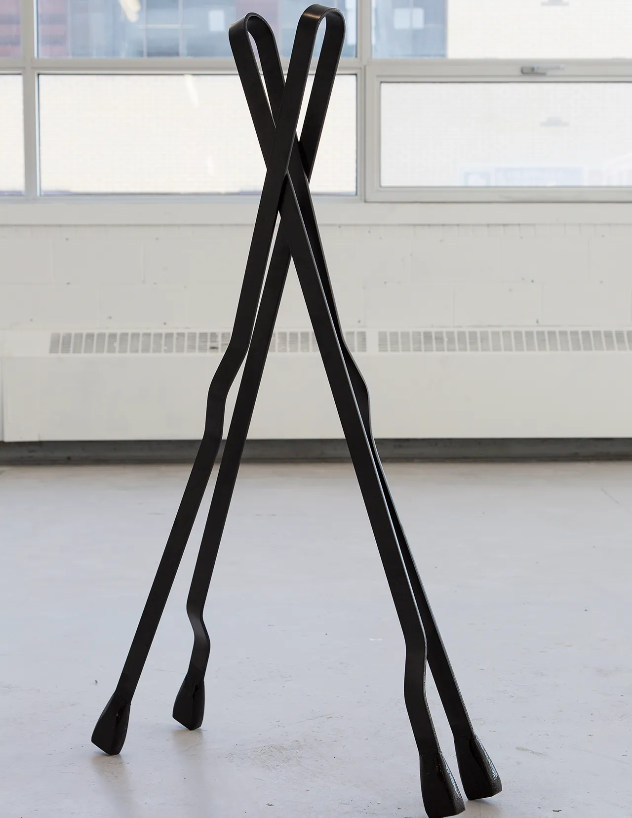 precarious sediments of the unknown cover image