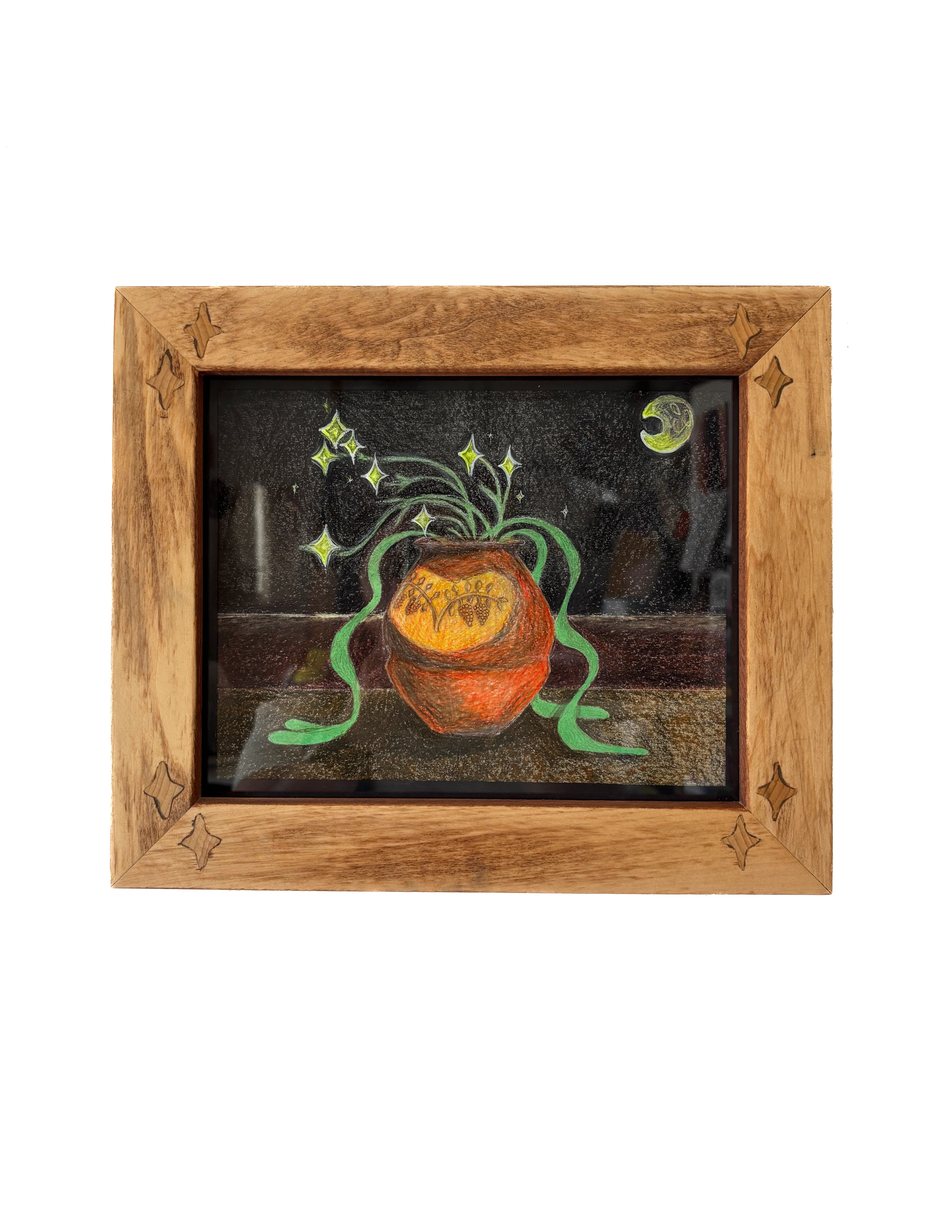 flowering stars cover image