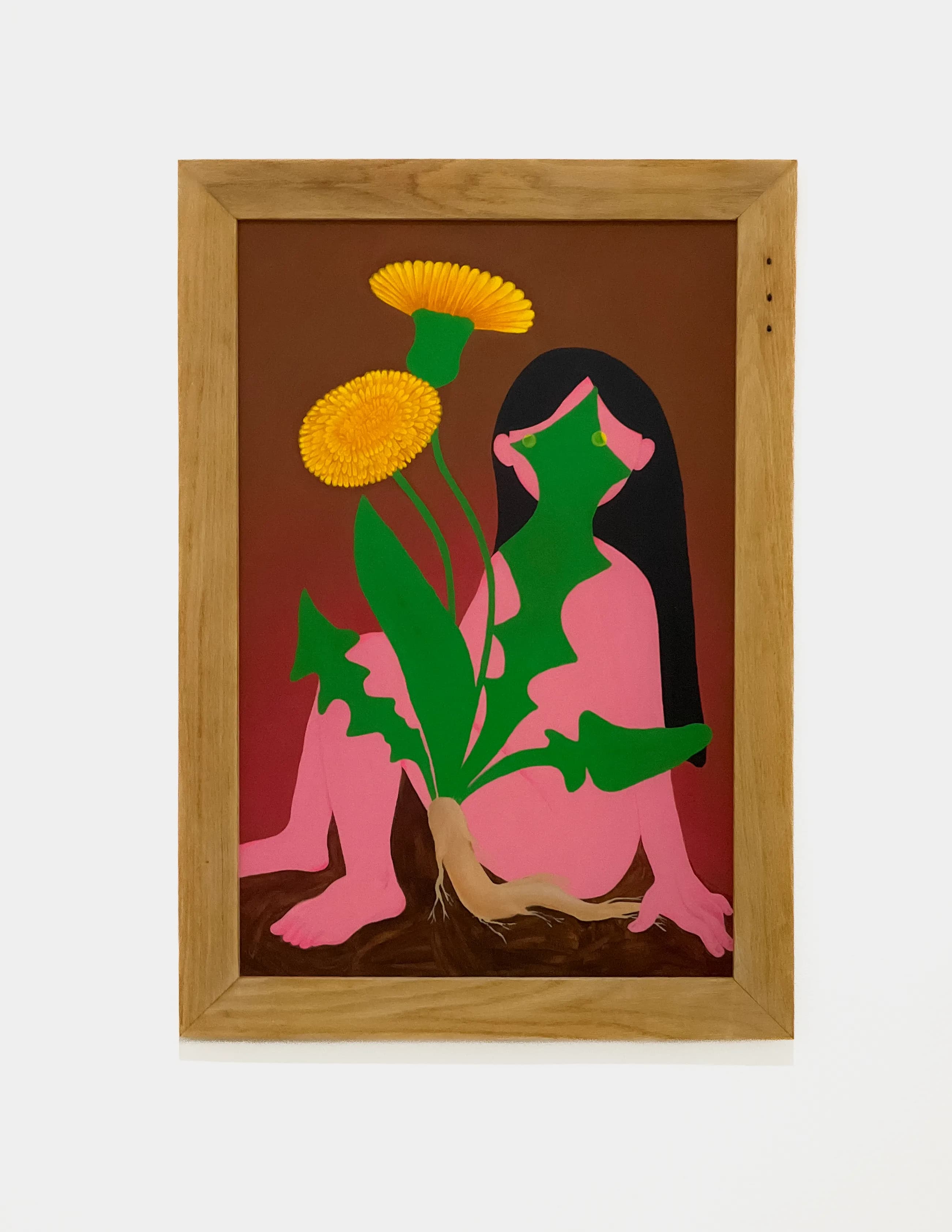 pohã ñana cover image