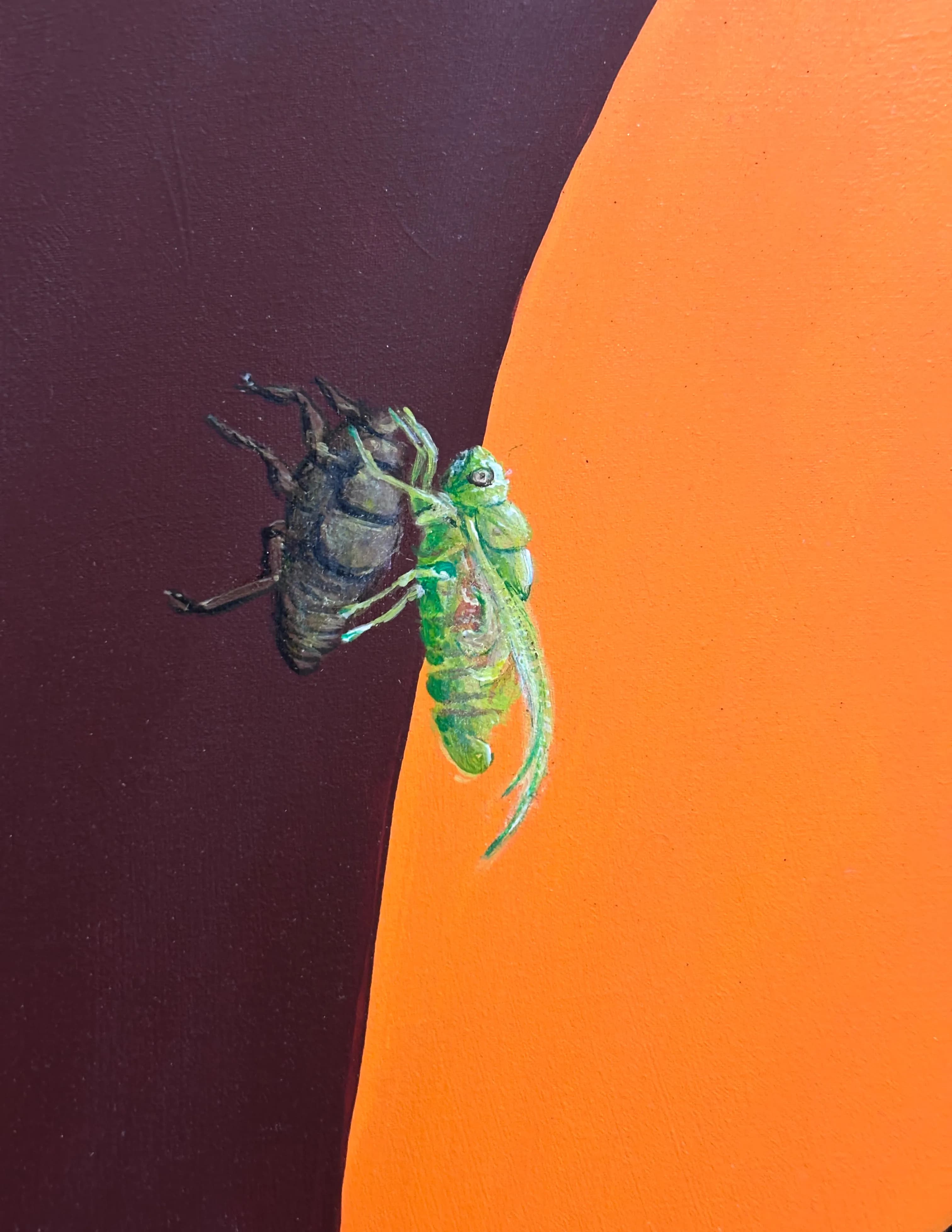 cigarra y pantalla - Image 3