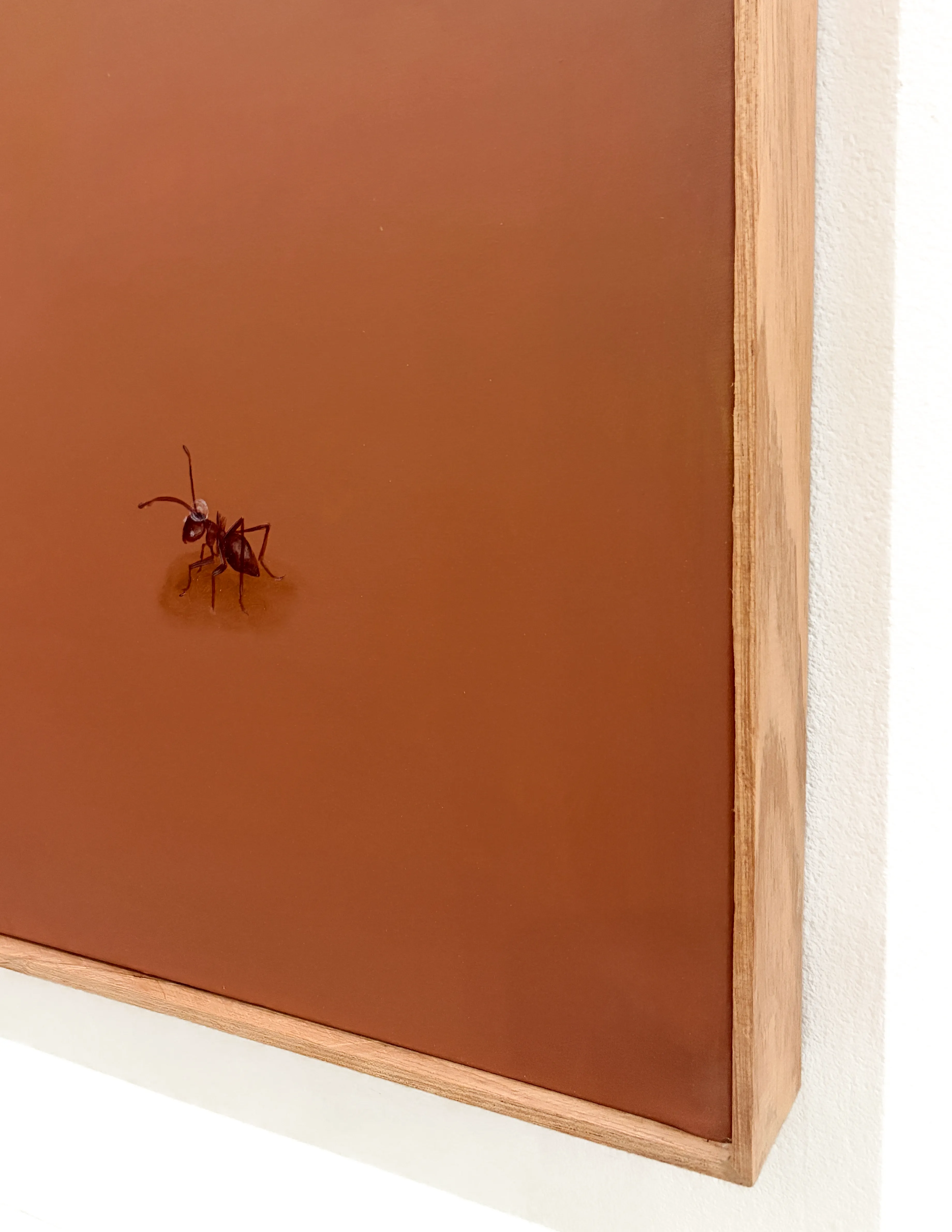 trying to kill the sun - Image 3